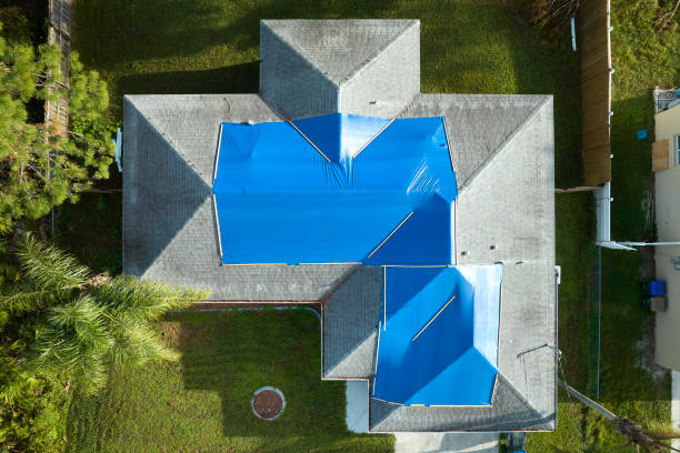 Best Steel Roofing  in Schofield Barracks, HI